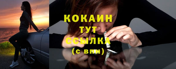 не бодяженный Арсеньев