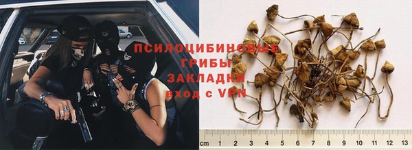 метадон Аркадак