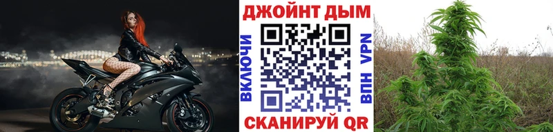 Бошки Шишки AK-47  хочу   кракен вход  Уяр 